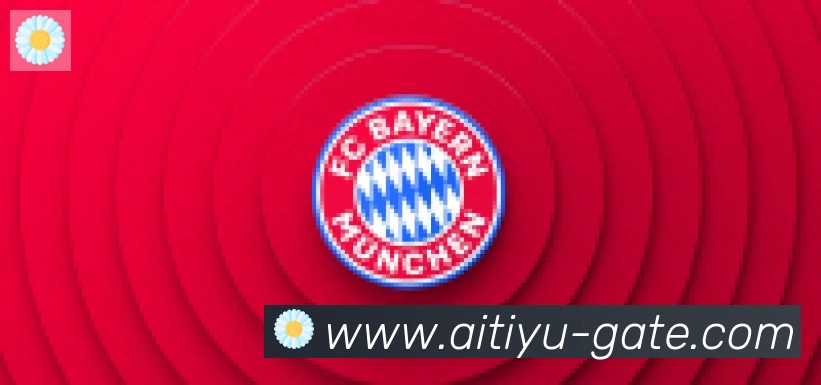 爱体育合作伙伴